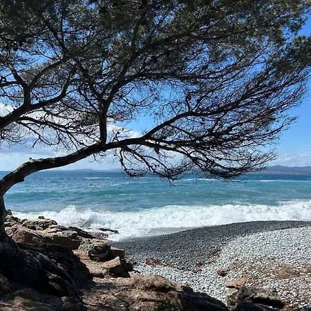 De 2 Avec Vue Sur La Piscine Partagee Et Terrasse Amenagee A Agay A 1 Km De La